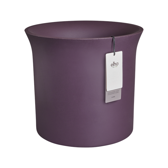 june tulip 47cm vintage plum